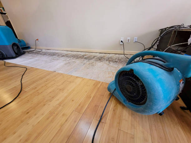 Professional Sewage Cleanup technician working in Grayslake, IL